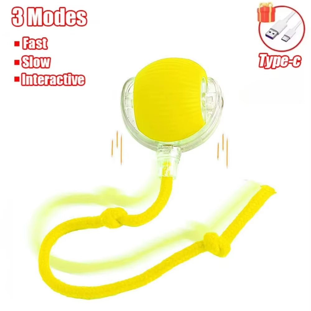 Interactive Rechargeable Cat and Dog Toy - Automatic Rolling Ball with Faux Tail for Training and Play