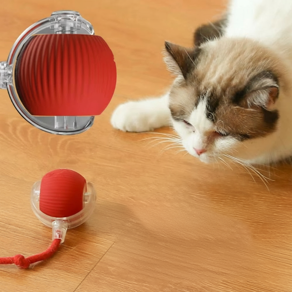Juguete Interactivo Automático para Gatos y Perros -PawSpin-  Pelota Recargable USB