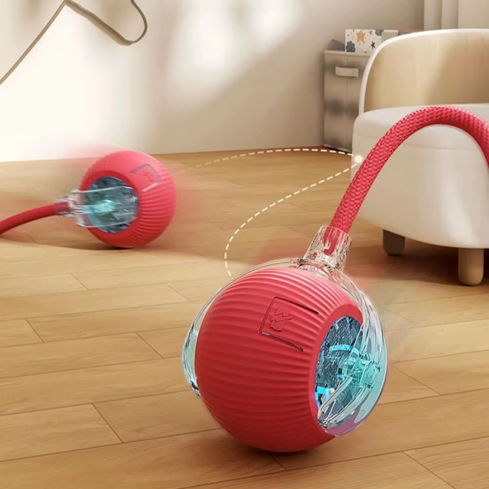 Interactive Rechargeable Cat and Dog Toy - Automatic Rolling Ball with Faux Tail for Training and Play