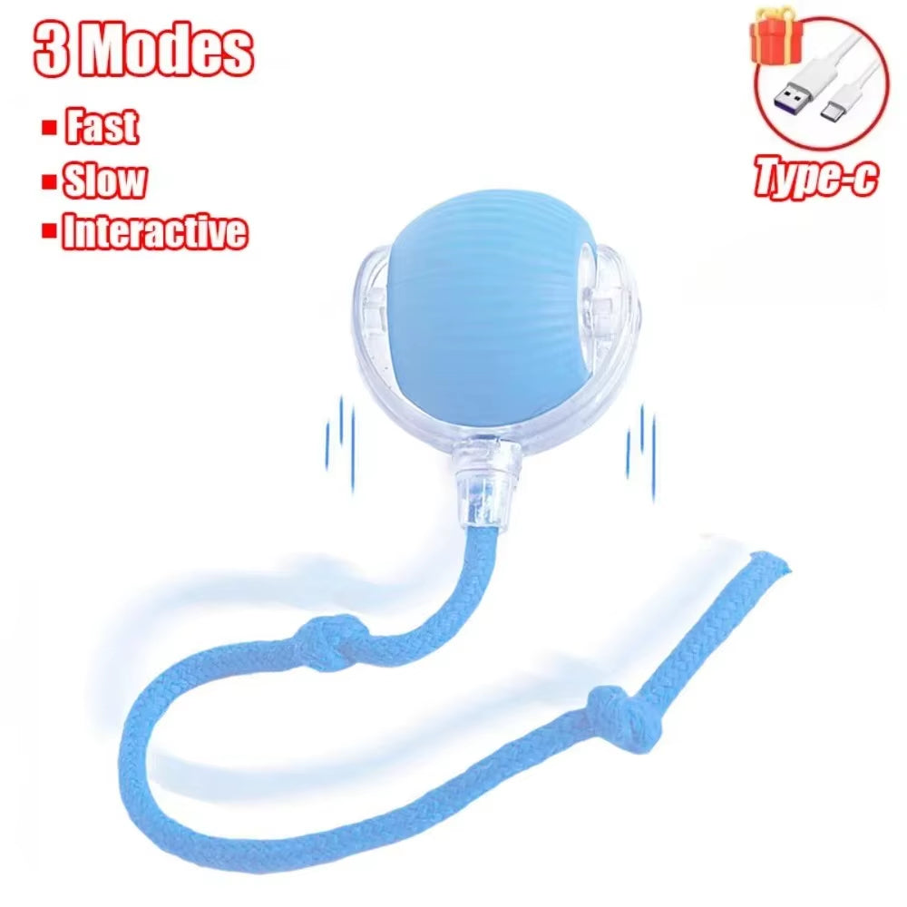 Interactive Rechargeable Cat and Dog Toy - Automatic Rolling Ball with Faux Tail for Training and Play