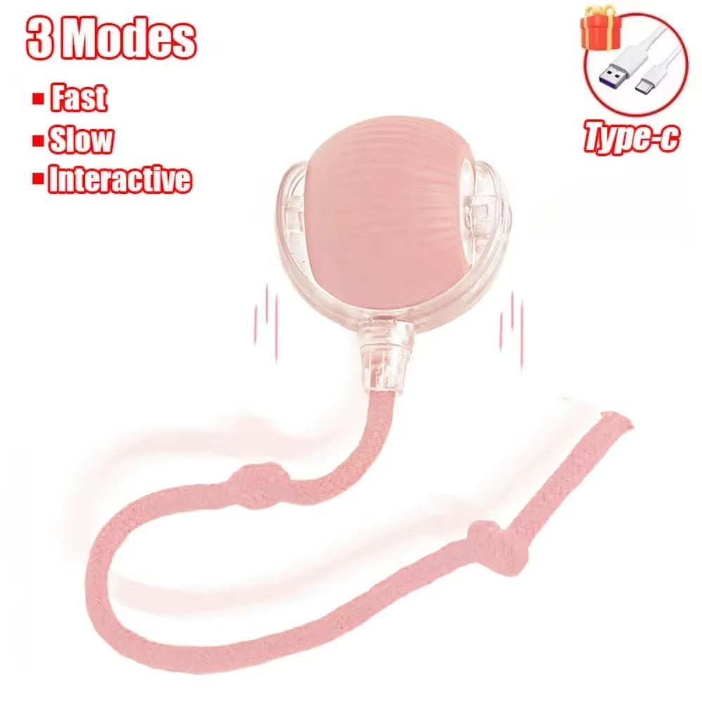 Interactive Rechargeable Cat and Dog Toy - Automatic Rolling Ball with Faux Tail for Training and Play