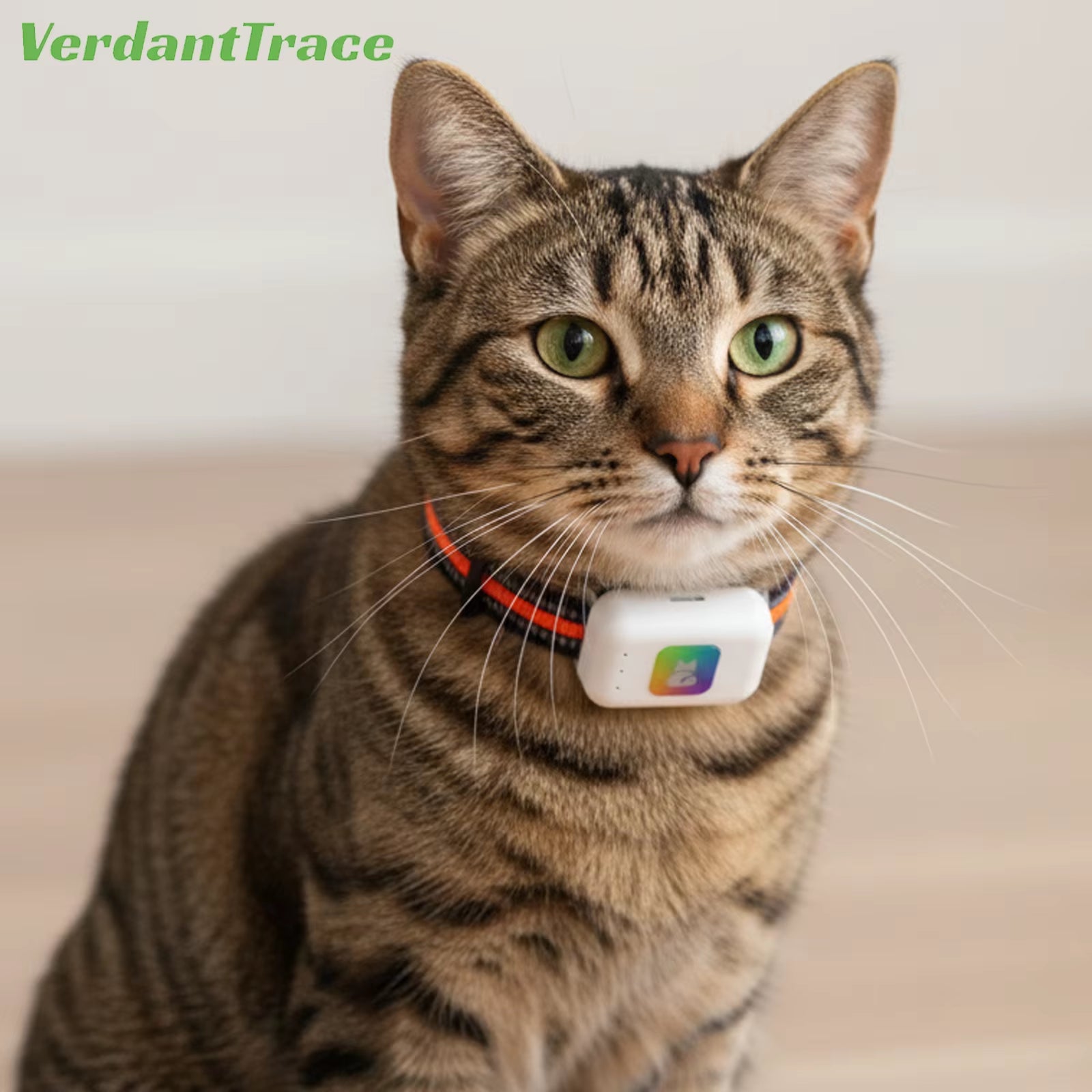 Verdanttrace 4G GPS Pet Tracker Waterproof Dog Cat Anti-Lost Locator Collar Find Device Light Sound Search No Subscription VTG2