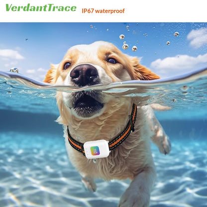 Verdanttrace 4G GPS Pet Tracker Waterproof Dog Cat Anti-Lost Locator Collar Find Device Light Sound Search No Subscription VTG2