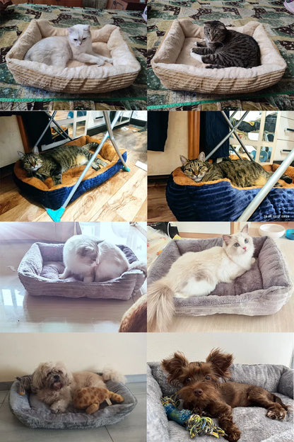Cama Ortopédica PetDreams Comfort - Calmante para Perros y Gatos